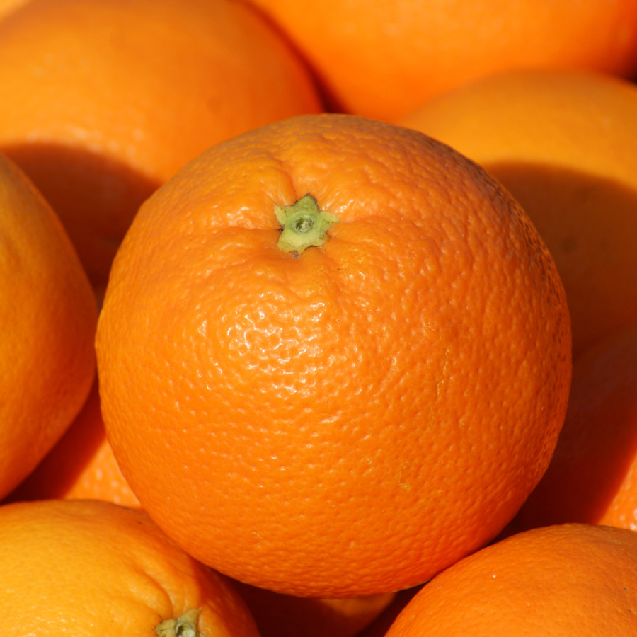 Orangen